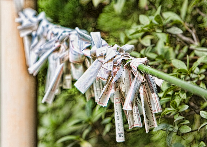 Omikuji 御御籤