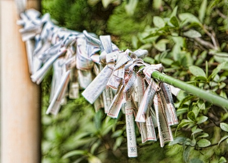 Omikuji 御御籤