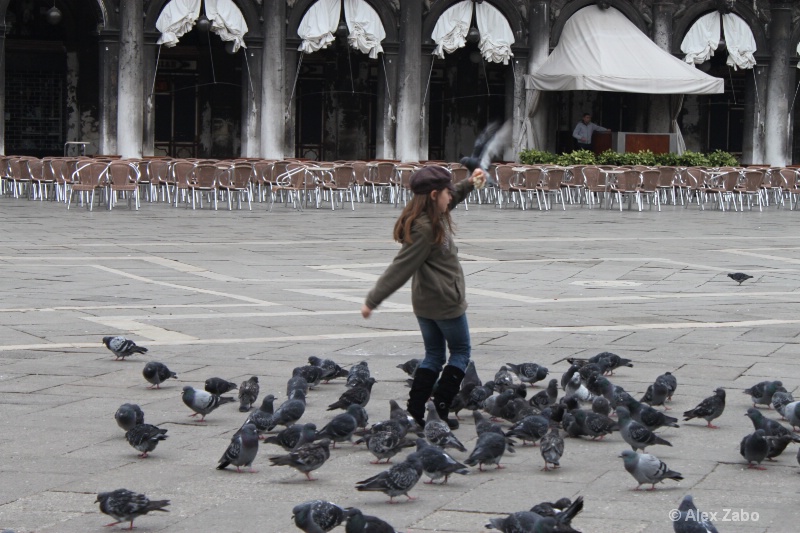 #1 Dancing with birds in Venezia