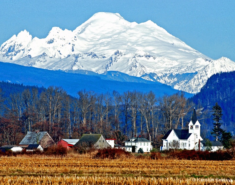Skagit Valley New Years Day 2011