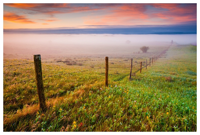 Fog on the Prairie, SW Saskatchewan - ID: 11301596 © Jim D. Knelson