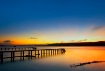 Quiescence