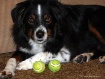 ~McGuyver on Stan...