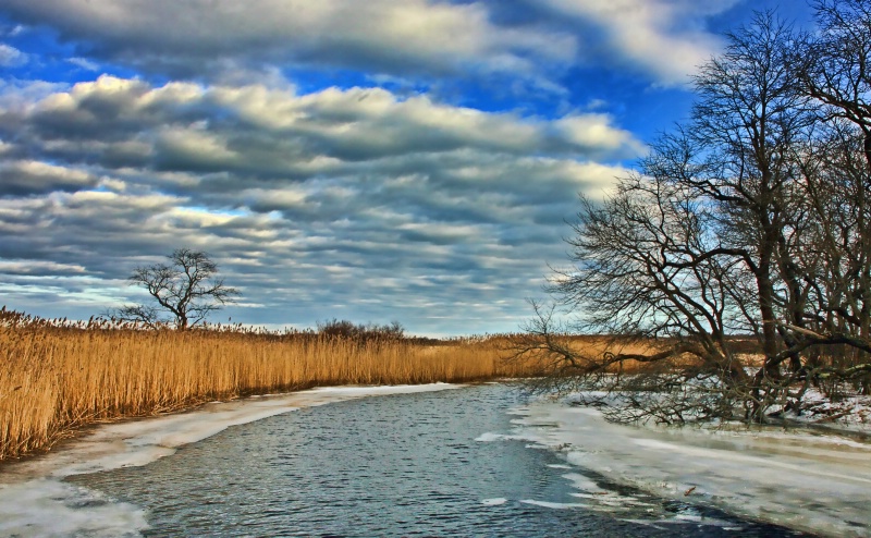 Winter Day 