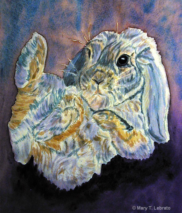 rabbit  2 watercolor - ID: 11314256 © Mary T. Lebrato