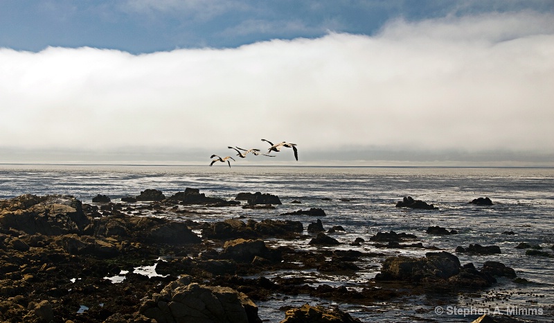 Flight into fog - ID: 11317118 © Stephen Mimms