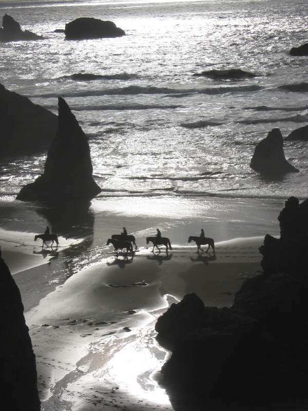 Horses on Bandon Beach