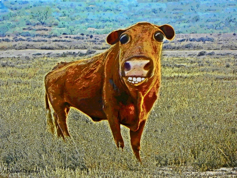 MOO SMILE
