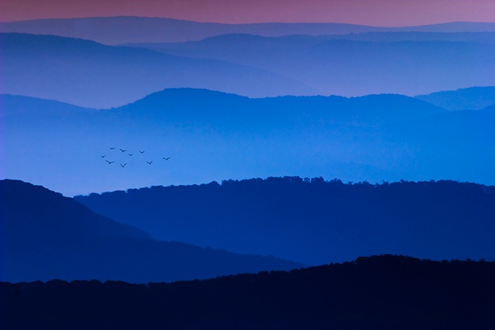 Dolly Sods Sunset