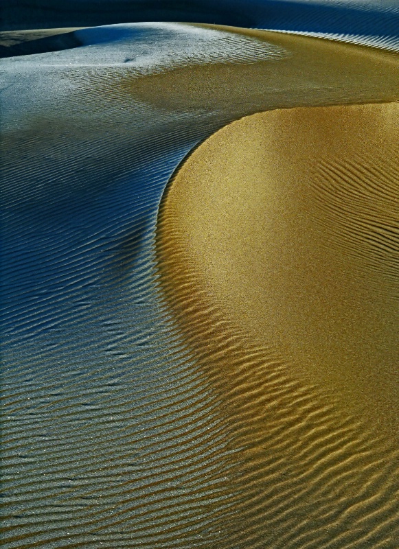Oregon Dune