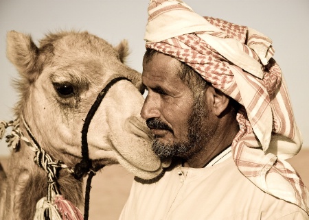 Camel Whisperer II