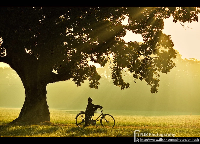 The Boy & Bicycle