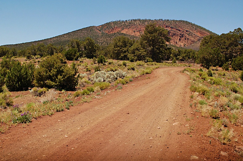 ~Road to Red Mountain~