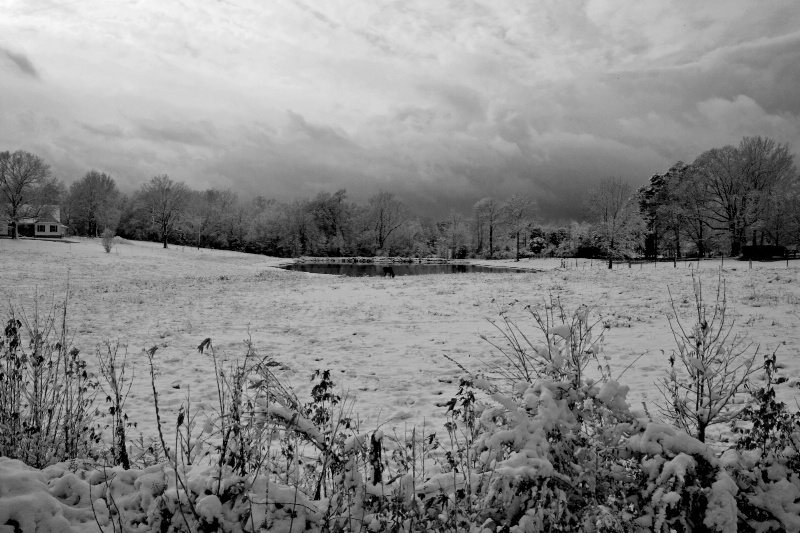 december snow 004 b w lr