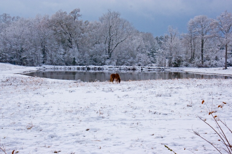 december snow 006