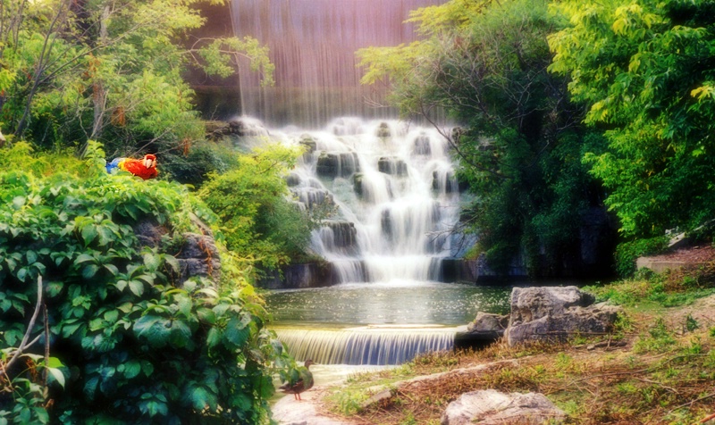 Mayan Falls (Film) - ID: 11323442 © Eric Highfield
