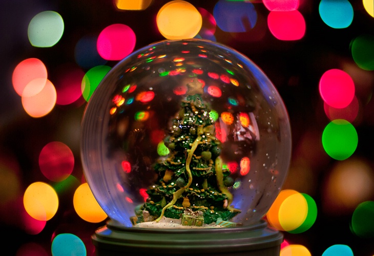 Oh Christmas Tree - ID: 11323519 © Eric Highfield