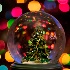 2Oh Christmas Tree - ID: 11323519 © Eric Highfield
