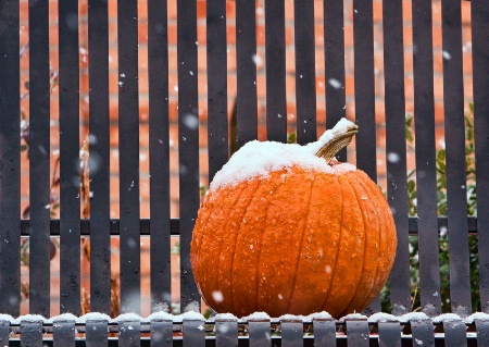 Frost on The Pumpkin