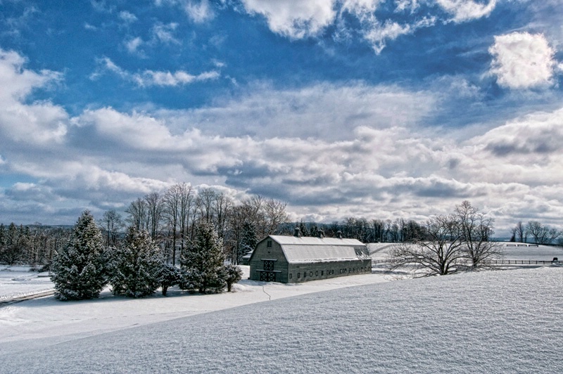 Dusted with Snow