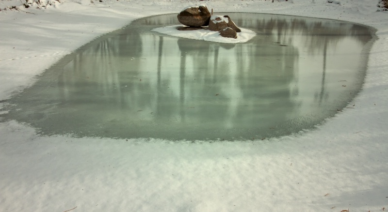 Reflections in Ice