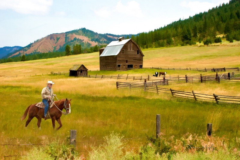 Ridin' Fence