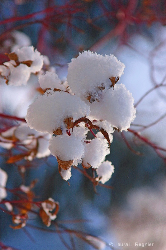 Cottonball Snowfall