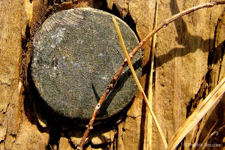 Nail in Wooden Bridge