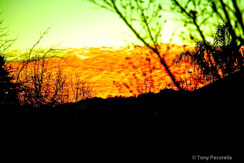 SUNSET IN MY BACKYARD - ID: 11345665 © Tony Pecorella