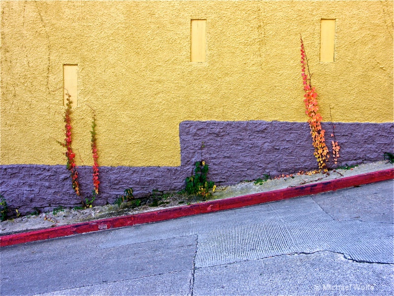 img12