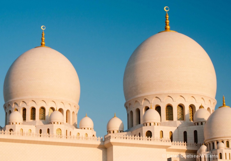 sheikh zayed al nahyan mosque 1