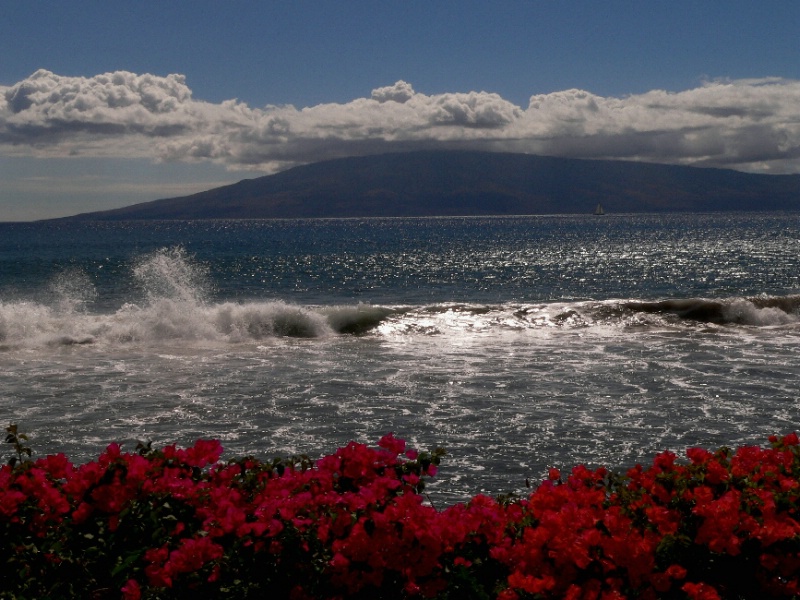 Maui 5D - Flowers-Waves-Breezes-Mountains-Clouds.