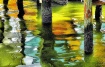 Water Colors