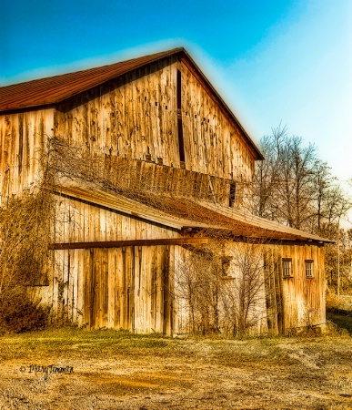 Just another Barn