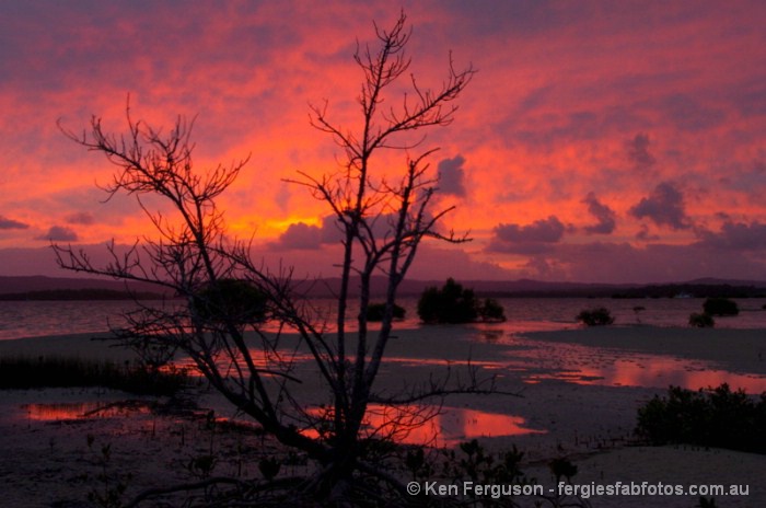 "Sunrise Fire", Tin Can Bay, Queensland, A