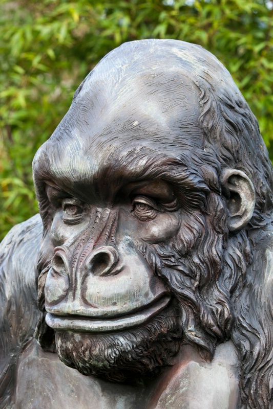 img2