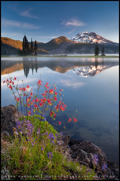 Cascades and Columbine