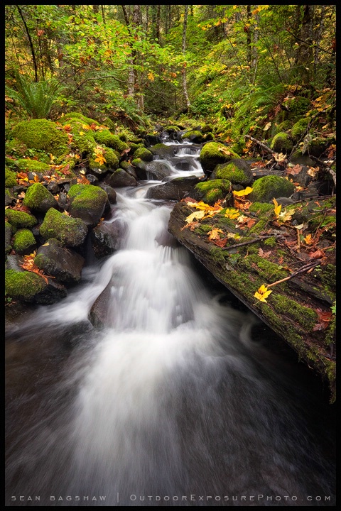 Starvation Creek