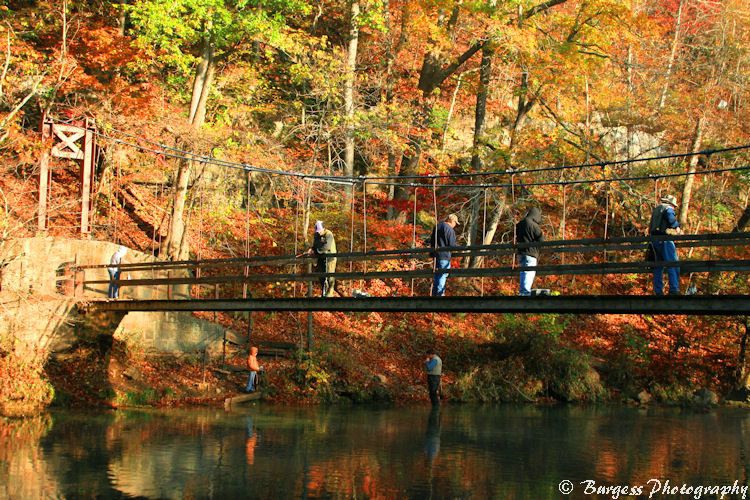 Angling from the Bridge