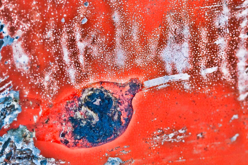 Love Potion Number 9 - ID: 11357332 © Marilyn Cornwell