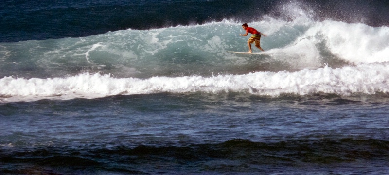 Surf's Up - ID: 11357832 © Karen J. Glenn