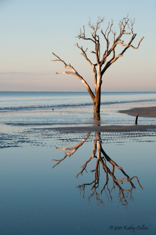 Botany Bay Reflections