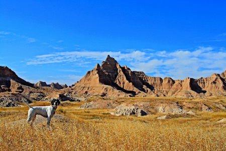 Badlands Molly.