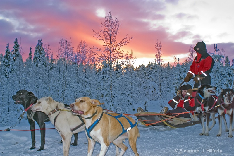Sled dog ride with beautiful sky