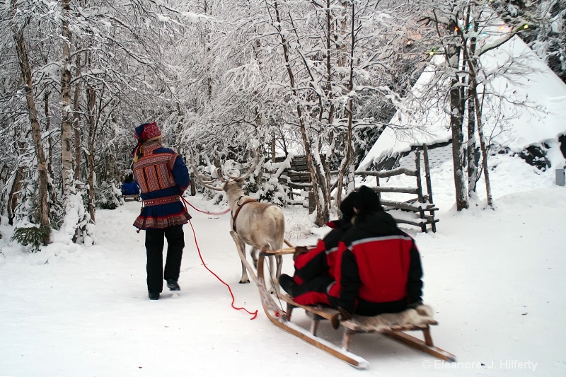 Reindeer ride in Lapland - ID: 11361124 © Eleanore J. Hilferty
