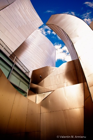 Walt Disney Concert Hall II