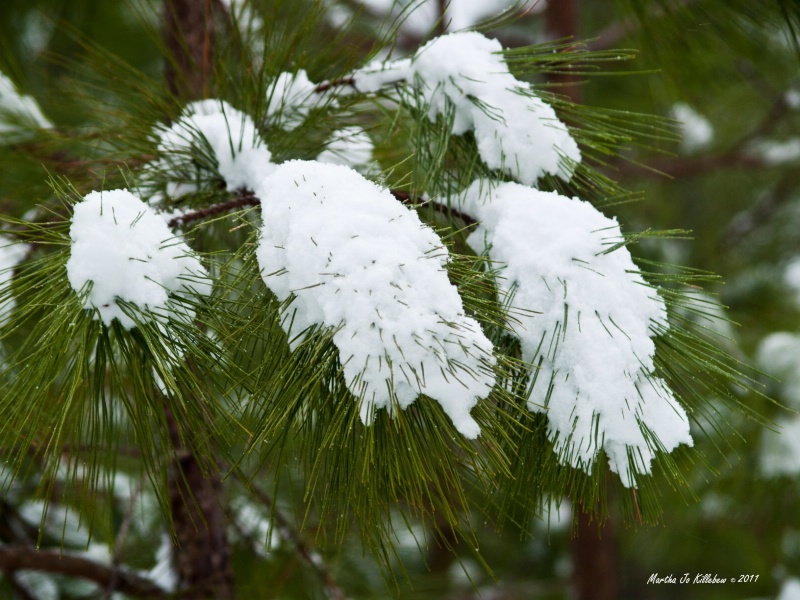 Snow in the Carolinas