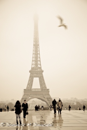 ~ ~ PARISIAN MEMORIES ~ ~