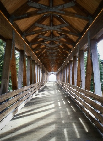 The Covered Walkway