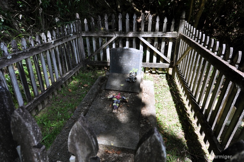 Graveyard Bay Whangaparapara dsc 0034